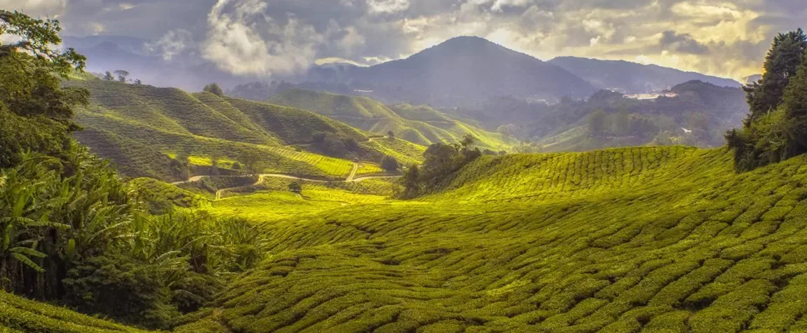 The 9 Must-Visit Sightseeing Places in Malaysia for a Memorable Holiday