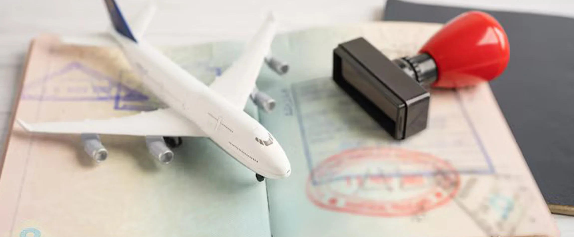 Argentina Tourist Visa Application