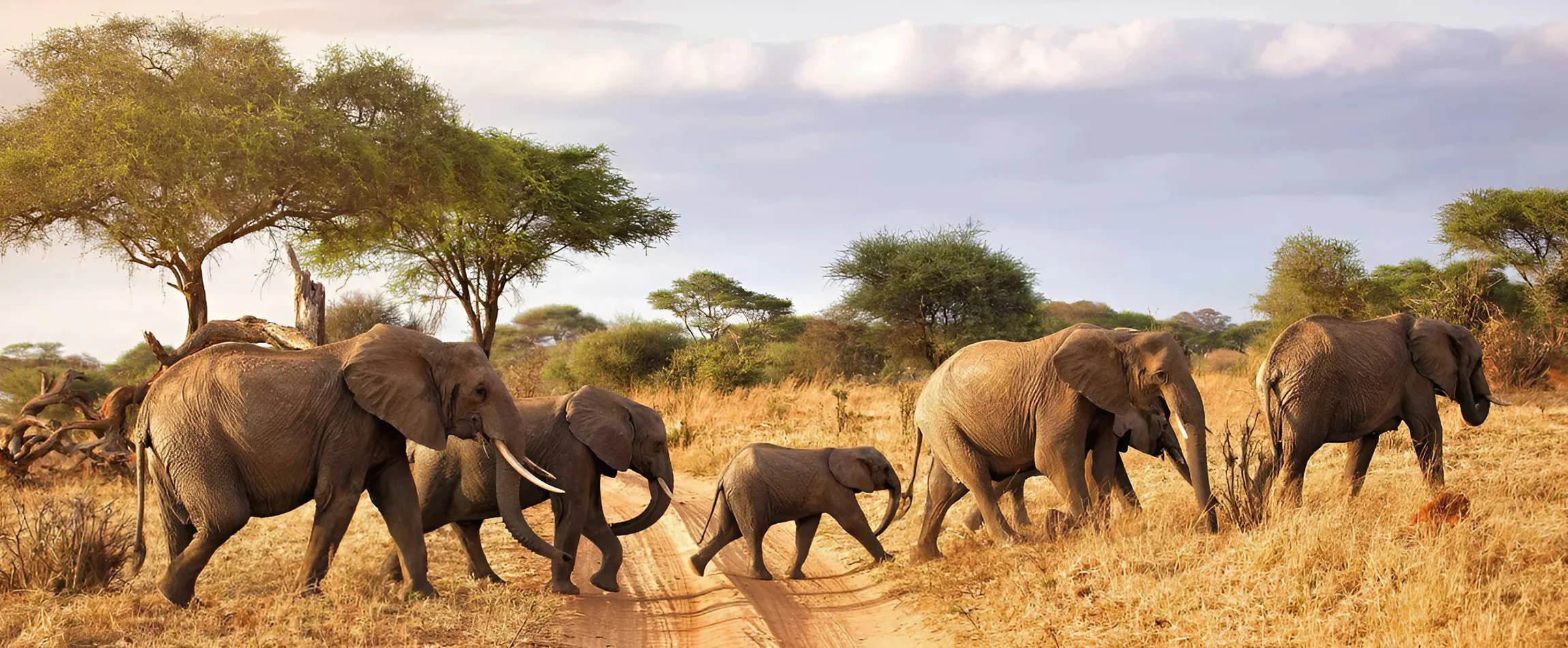 best time to visit South Africa